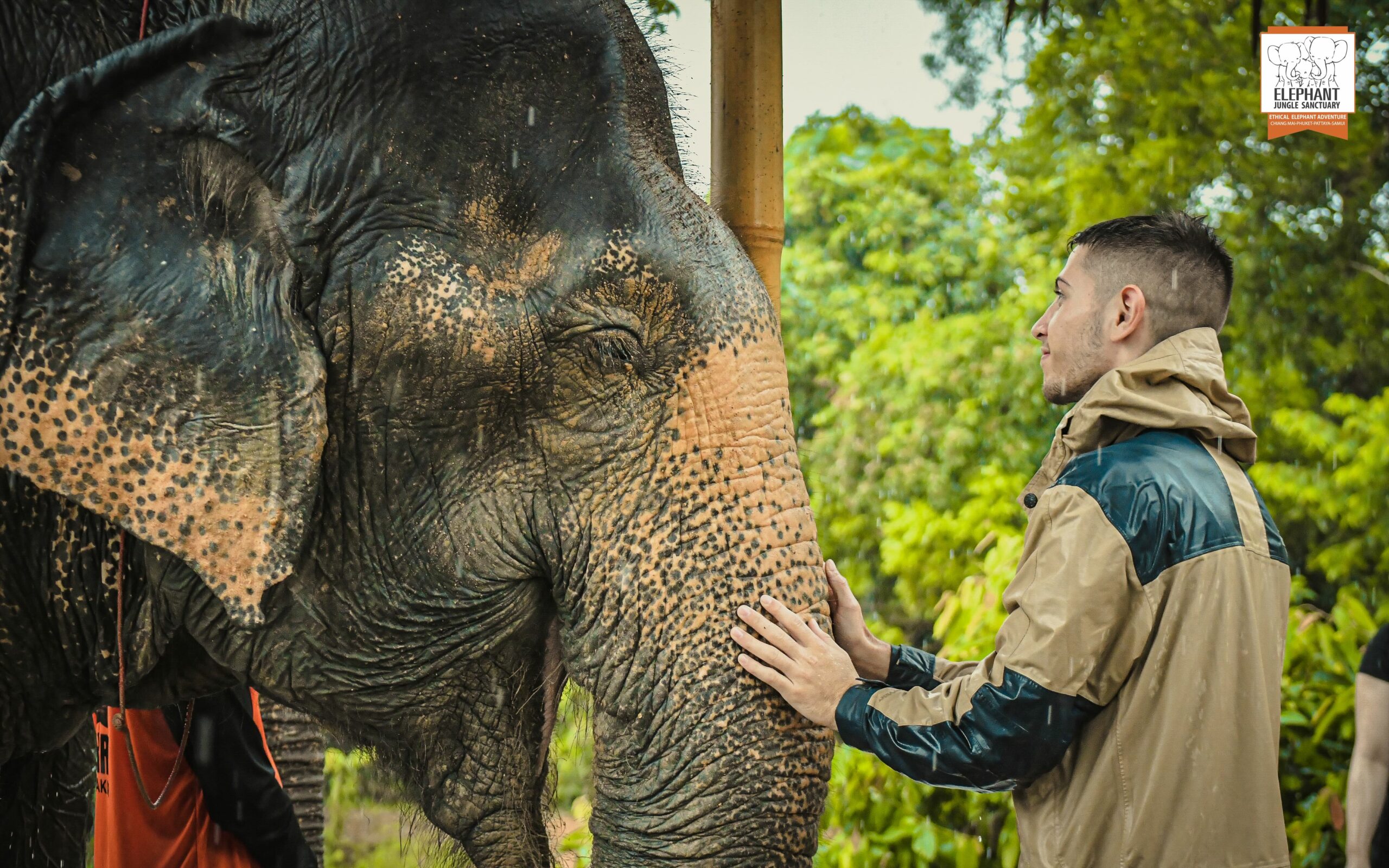 Elephant Jungle Sanctuary Visit – Half Day