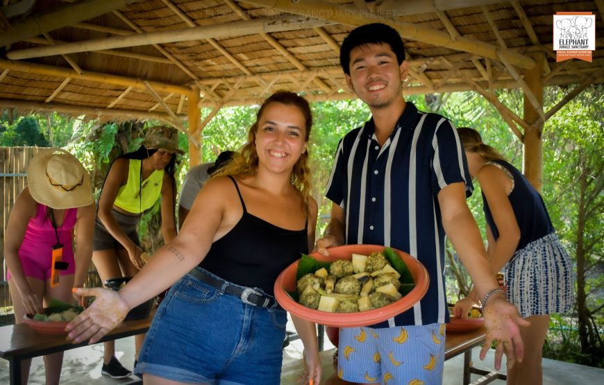 Elephant Jungle Sanctuary Visit – Half Day