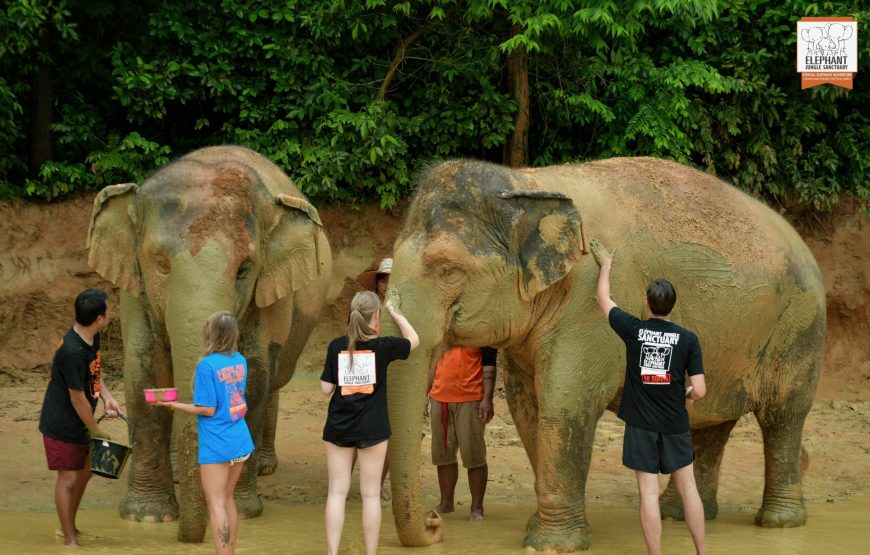 Elephant Jungle Sanctuary Visit – Half Day