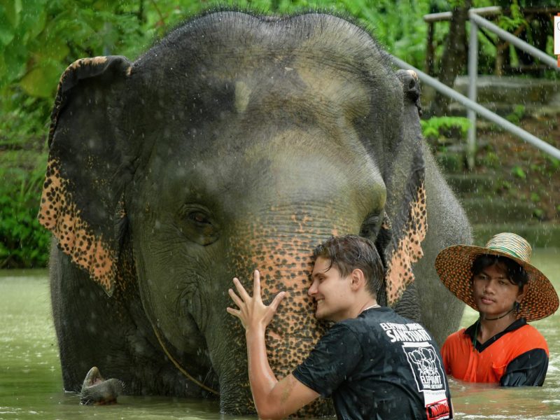 Elephant Jungle Sanctuary Visit – Half Day