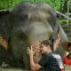 Elephant Jungle Sanctuary Visit – Half Day